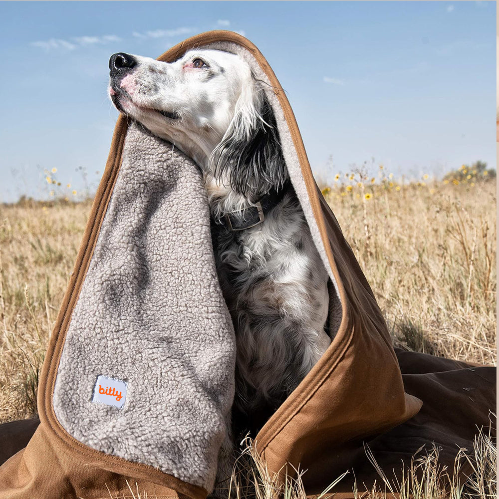 Bitly + Carhartt Sherpa Blanket