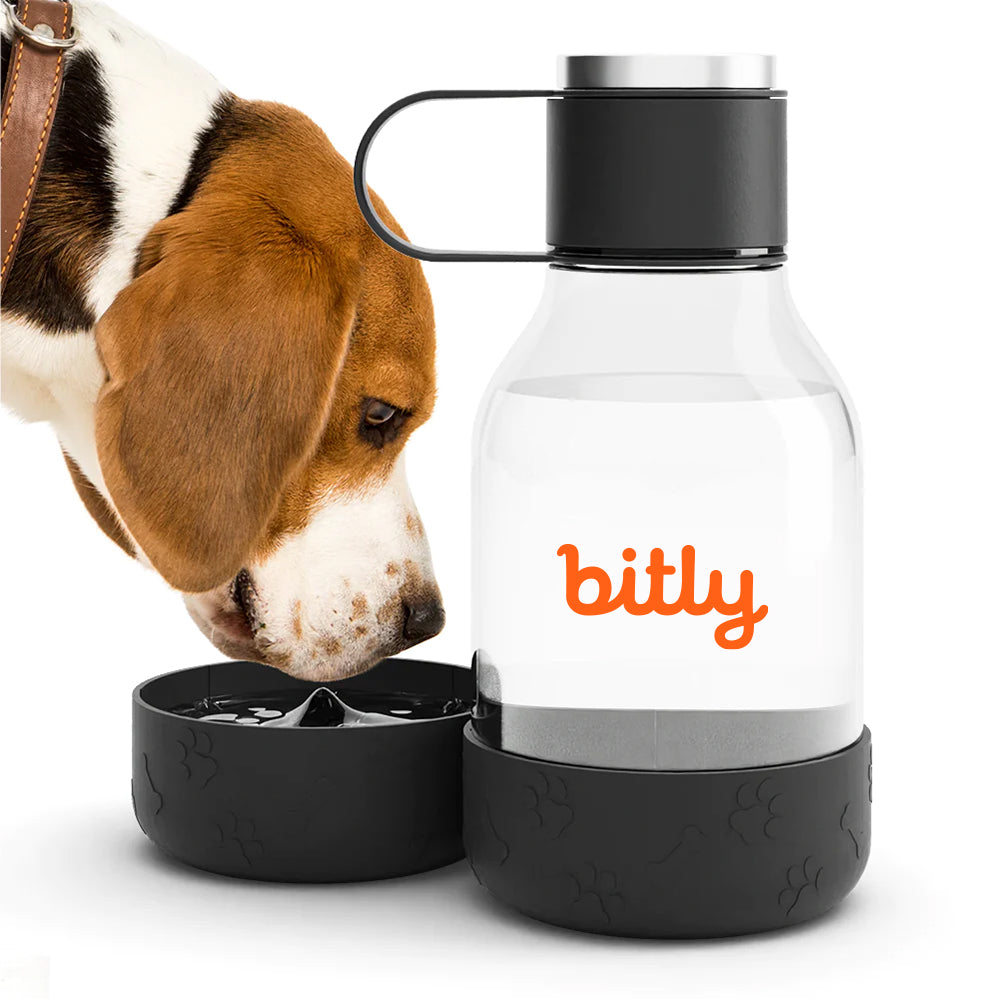 Bitly Pet Bowl Bottle
